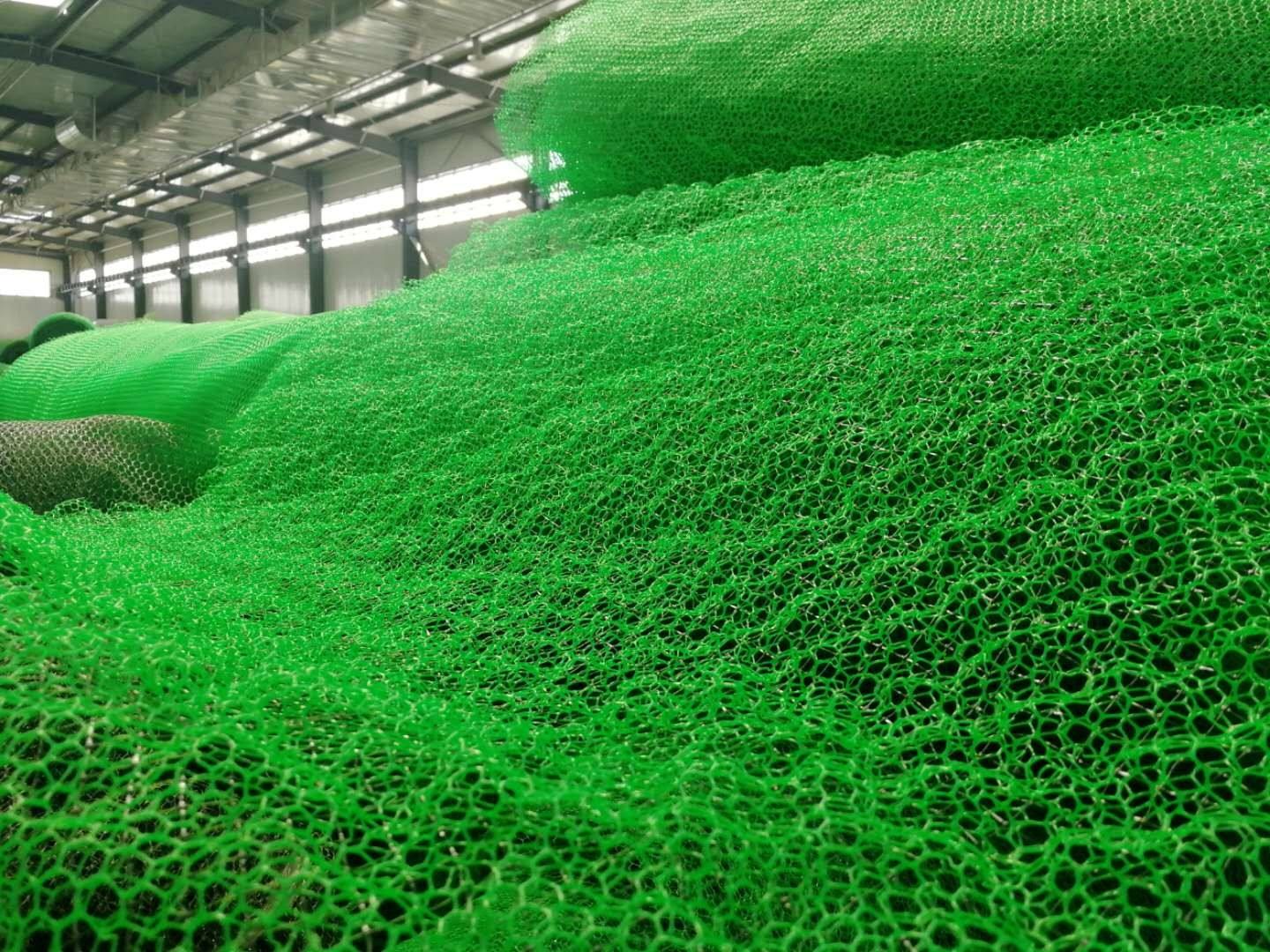 九江三维植被网,上饶三维土工网垫
