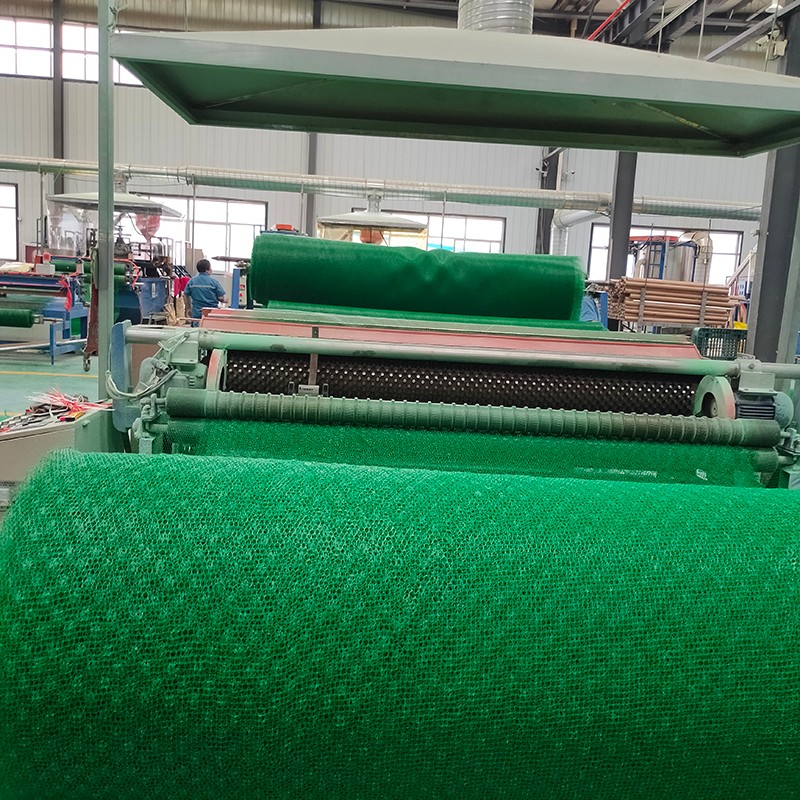 泉州三维植被网 泉州护坡土工网