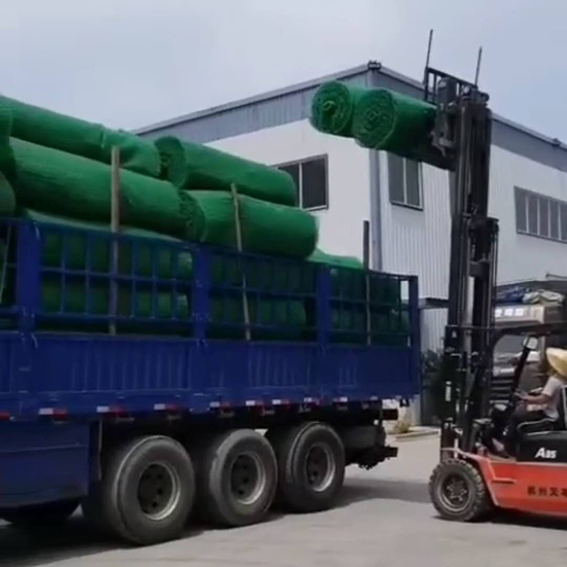 柳州三维植被网 柳州三维土工网垫